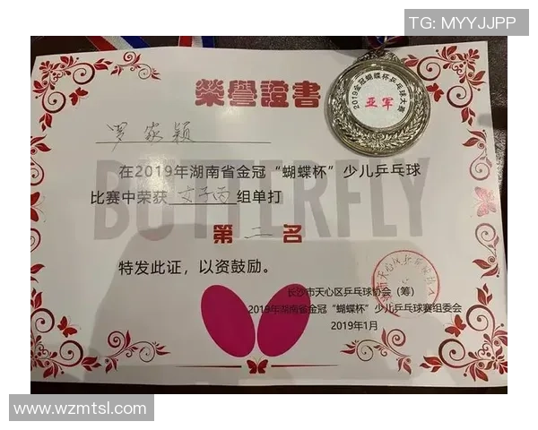 南京乒乓球队心理素质探讨与提升策略研究专题