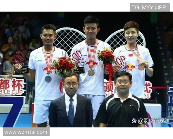 西安羽毛球队在总决赛中的精彩表现与实力分析