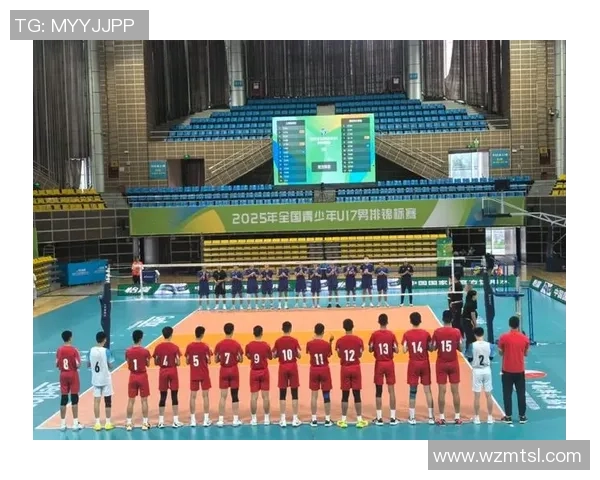 上海排球队在精英赛中的力量展现与战术分析