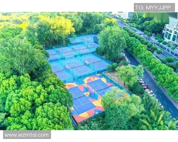 武汉网球队在精英赛中的战术表现分析与点评探讨