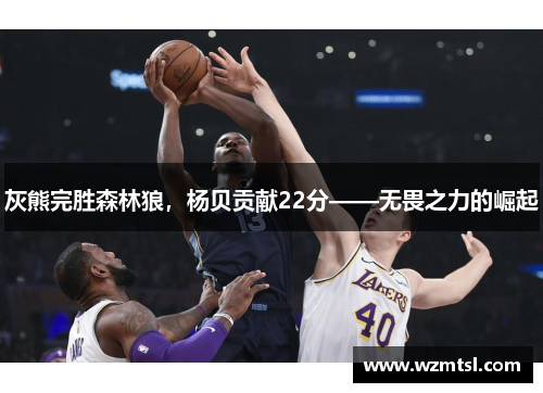 灰熊完胜森林狼，杨贝贡献22分——无畏之力的崛起