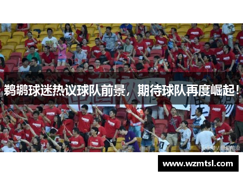鹈鹕球迷热议球队前景，期待球队再度崛起！