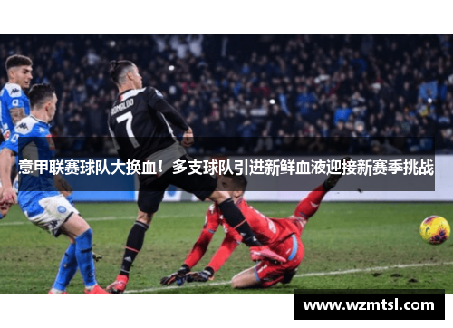 意甲联赛球队大换血！多支球队引进新鲜血液迎接新赛季挑战