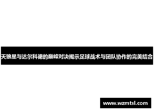 天狼星与达尔科德的巅峰对决揭示足球战术与团队协作的完美结合